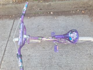 Bicicleta infantil morada Magna