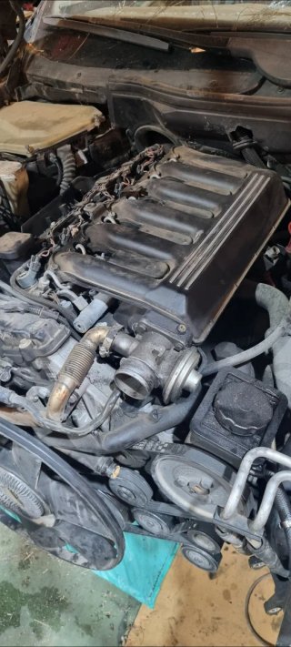 Despiece BMW E39 530D 193CV
