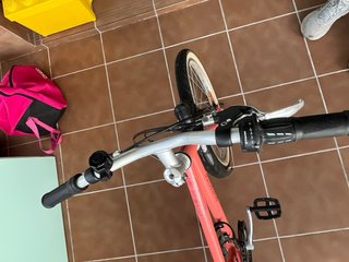 Bicicleta Infantil Riverside 20 Coral