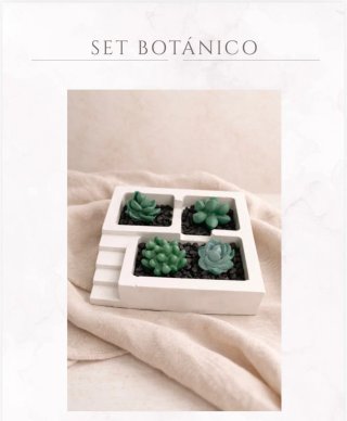 Set Botánico Zen mini jardín