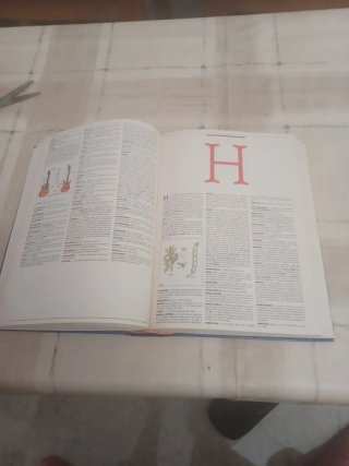 Diccionario ilustrado del siglo 21
