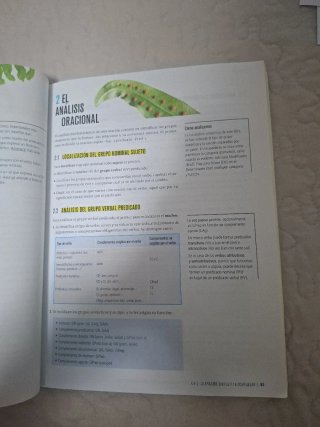 Lengua castellana y literatura, 4 Secundaria Ed...