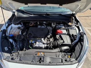 Ford Focus 1.5 EcoBlue 120 CV