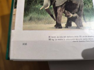 Libro el mundo de los animales larousse