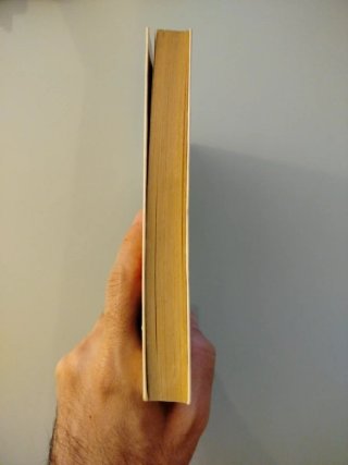 El Pabellon De Oro