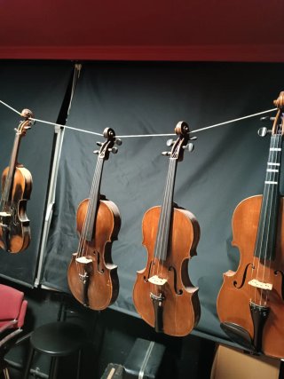 Collezione di violini antichi, restaurati da me