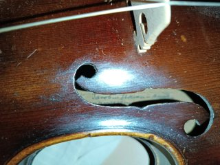 Collezione di violini antichi, restaurati da me