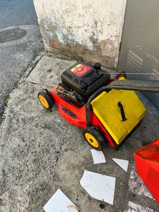 Cortacésped outils Wolf PBT46