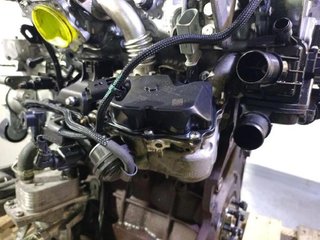 Rectp5540994 motor ah01 peugeot expert furgoneta v
