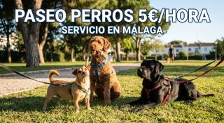 Paseo perros 5€/hora