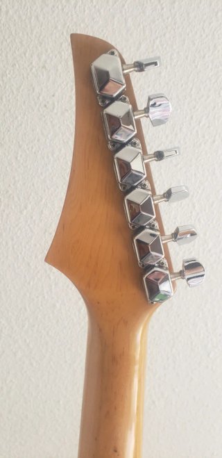 Guitarra Eléctrica + FUNDA Washburn WR120