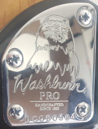 Guitarra Eléctrica + FUNDA Washburn WR120