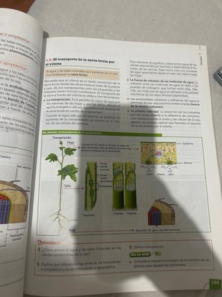 Biología y geología, Bachillerato 1 Aprender es...