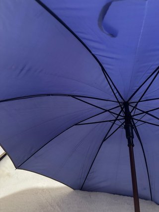 Paraguas morado elegante