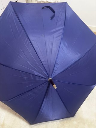 Paraguas morado elegante