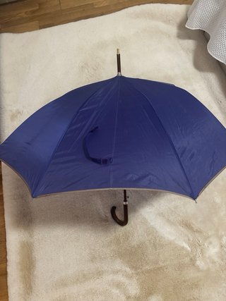 Paraguas morado elegante