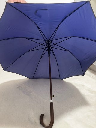 Paraguas morado elegante