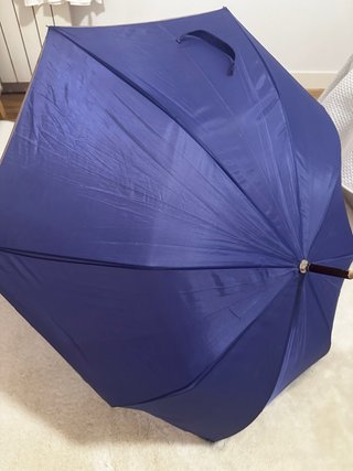 Paraguas morado elegante