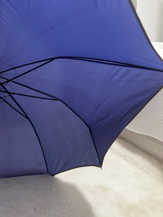 Paraguas morado elegante