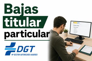 Desguaces Arkotxa Bajas DGT en  Bizkaia