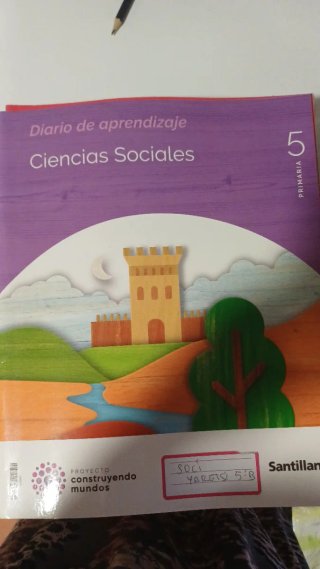 Lengua castellana, matemáticas, ingles, Sociales..