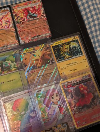 Lote Cartas Pokémon TCG