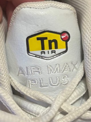 Nike Air Max Tn Zapatillas Originales