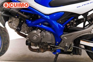 SUZUKI GLADIUS 650
