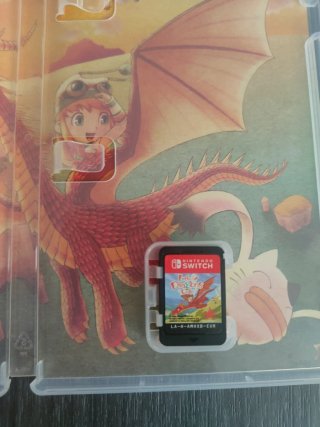 Little Dragons Café Nintendo Switch