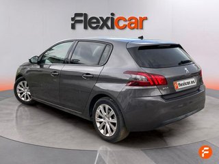Peugeot 308 5p Access PureTech 110 S&S 6 Vel. MAN - 5P (2019)