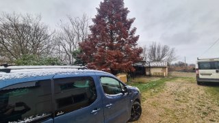 Citroen Berlingo 2011