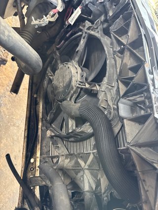 MORRO COMPLETO Renault Megane III Berlina 5P (2008->)