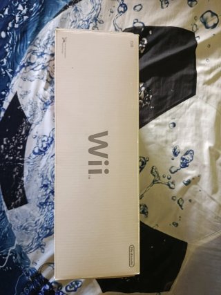 Nintendo Wii Family Edition Blanca