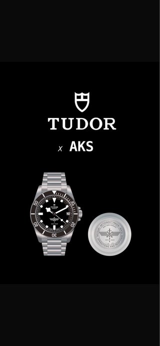Tudor Pelagos titanio