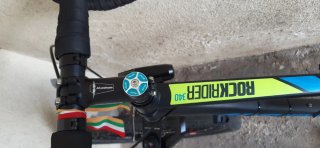 Bicicleta de montaña