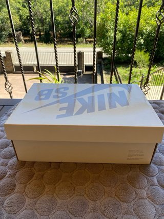 Nike Dunk SB Yuto Horigome