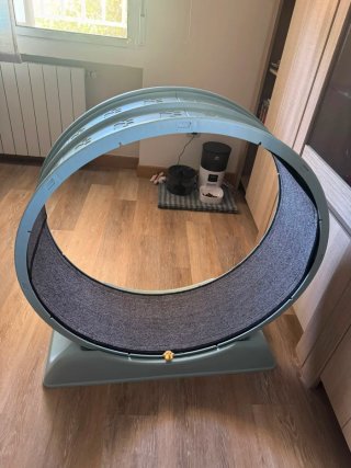 Rueda de ejercicio para gatos