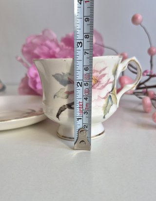 Taza y platillo de porcelana inglesa