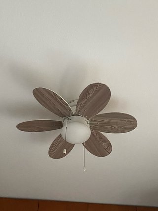Ventilador de techo madera y cristal