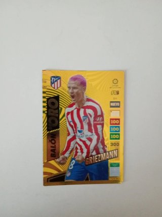 Cartas de fútbol Panini