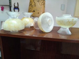 Tulipas de cristal beige y transparentes
