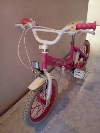 Bicicleta 14 pulgadas de regalo ruedines y cesto