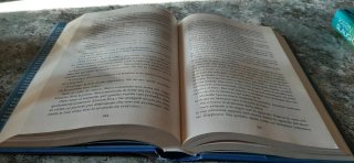 L'ultima vedova. Un nuovo caso per Will Trent