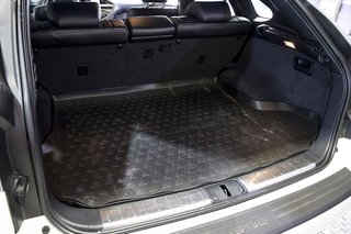 Lexus RX 450h Hybrid F Sport