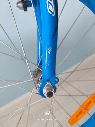Bicicleta Infantil 20 pulgadas Bh oregon