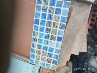 Azulejos piscina delfines
