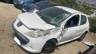 Despiece Peugeot 206