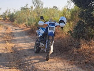 Suzuki DR 600 Djebel Dakar