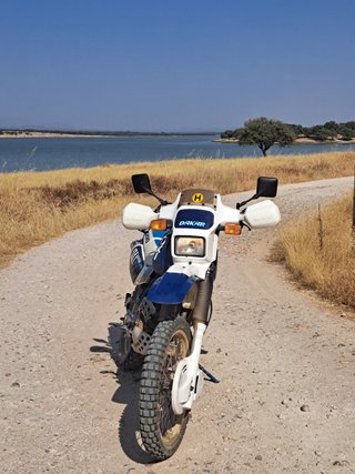 Suzuki DR 600 Djebel Dakar
