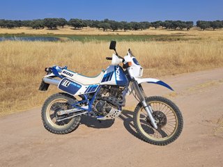 Suzuki DR 600 Djebel Dakar